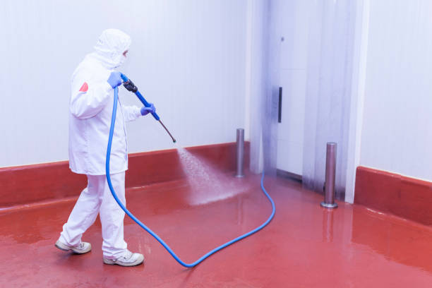 Best Restaurant Pressure Washing  in Baldwin, MI